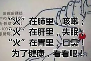 「火」在肺里，咳嗽；「火」在肝里，失眠；「火」在胃裡，口臭！為了健康，看看吧！ 