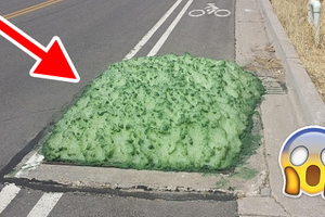 路上出現「神秘綠色泡沫」，其體積不斷擴大，超過100人因此中毒，原來它是……