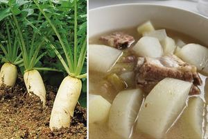 吃「白蘿蔔」比人蔘強100倍！教你5道料理，不僅治便秘「養肝排毒」最厲害 ! 趕快收藏起來！！ 