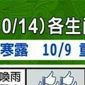 情況很緊急~10/8~10/14 各生肖整體運勢