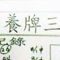 8/29 六合 【阿田師，聖母宮，慶安宮，溪底，震興宮，道德壇，天龍山】參考。