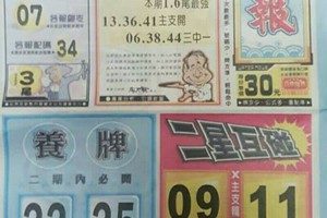 3/7 港六合 【水報，火報，金礦】多張財報讓你配二三星。參考。參考。