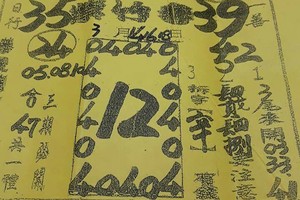 3/14 港六合 【紫竹寺，香港濟公，玄子宮，土庫爺，草山，天皇宮，茅山道人，北區彩報，天心宮，營，萬應公，六合彩】目標三星，殺豬頭，參考，參考。