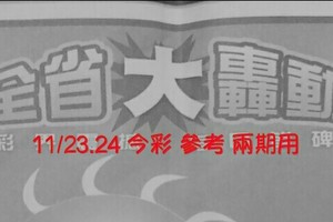 11/23.24 今彩 【大轟動】參考 兩期用