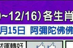 情況緊急~【12/10~12/16 各生肖的整體運勢】看看你旺不旺？