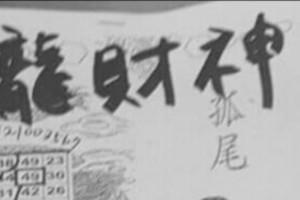 12/13 港六合 【龍財神賜財報】殺豬版，參考，參考。