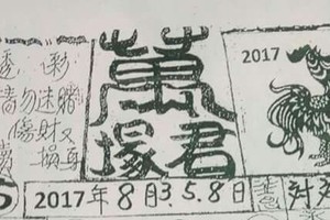 8/8 六合 【萬塚君，溪底，聖和宮，李府，保玄宮，夢雲軒，天龍山，道德壇】參考。