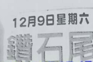 12/9 港六合 【鑽石尾，六合快報，順德宮，崁頂一號，平安爺，六合神子】多張財報讓你參考，參考。