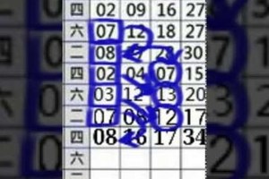 10/29每期六合獨支必中專車版路