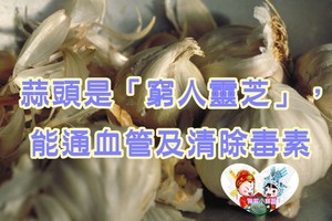 蒜頭是「窮人靈芝」，能通血管及清除毒素，日常作法吃蒜