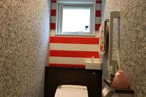 日本網友吐槽：姐姐家的廁所畫滿密密麻麻的小人，能看一整天