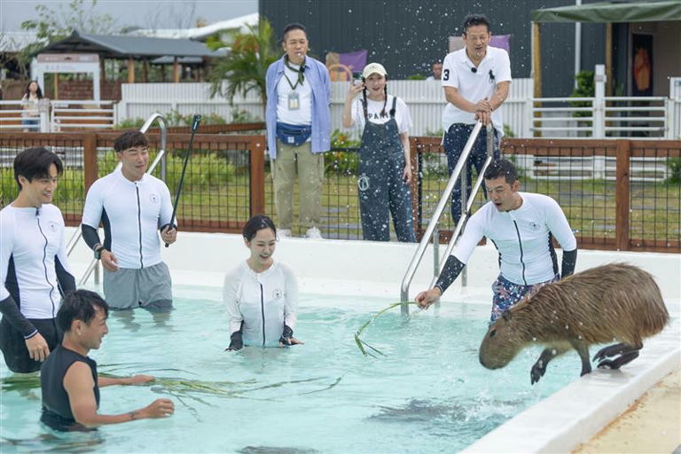 左起徐新洋、郭泓志、ANGIE安吉、卜學亮、Julie、徐乃麟、姚元浩享受精緻行程。（圖／好看娛樂提供）