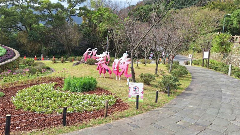 陽明山花季登場，警方公布交管路線和時段。（圖／翻攝畫面）