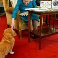 女王伊莉莎白二世心愛的柯基犬在她去世時在房間裡