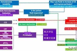 危重病人輸液給藥的病理生理學