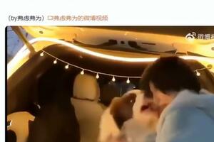 被寵物咬傷後，什麼情況需要打狂犬病疫苗和破傷風疫苗？