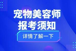 官網可查的寵物美容師證書怎麼報考？難考嗎？報考條件、費用