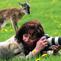 20個「攝影師在野外拍攝野生動物」時會遇到的突發狀況！這些動物根本是想應徵攝影助理吧！