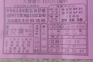 12/3 大發廣告   六合參考