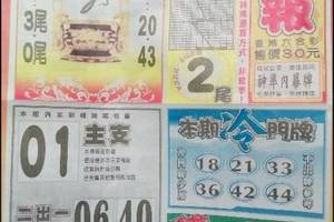 12/3 火報  六合參考