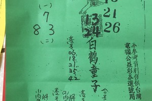 12/5 白鶴童子  六合參考