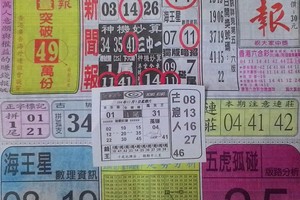 12/5 中國新聞報  六合參考