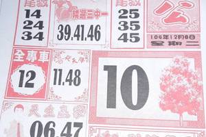 12/8 大樹公+福多寶  六合參考