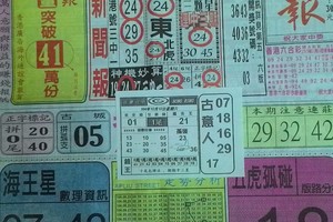 12/12 中國新聞報   六合參考