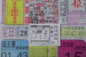 12/17 中國新聞報  六合參考