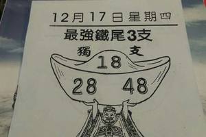 12/17 最強尾  六合參考