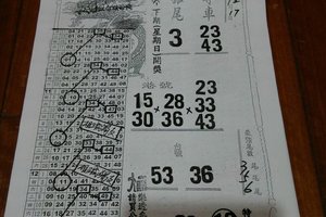 12/17 龍財神  六合參考