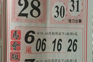 12/20 馬會版路 六合參考