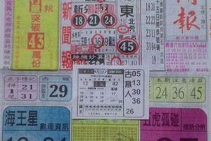 12/20 中國新聞報  六合參考