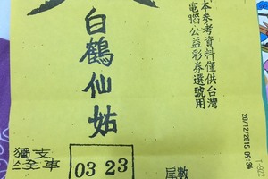 12/22 白鶴仙姑  六合參考