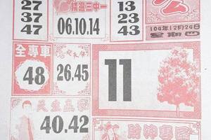 12/24 大樹公+福多寶   六合參考