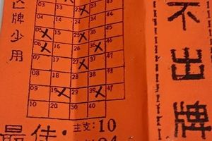 12/24 橘色不出牌  六合參考