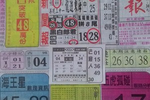 12/24 中國新聞報  六合參考