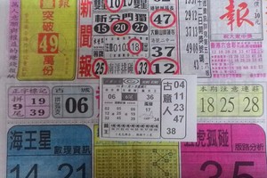 12/26 中國新聞報  六合參考