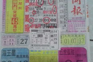 12/29 中國新聞報 六合參考