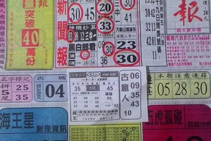 12/31 中國新聞報  六合參考