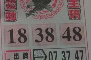 1/2 神鷹   六合參考