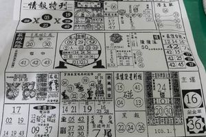 1/7 情報特刊  六合參考