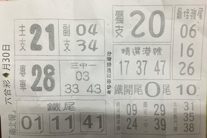 1/30南北報+福記  六合參考