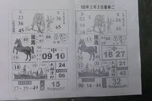 2/2 黑馬   六合參考