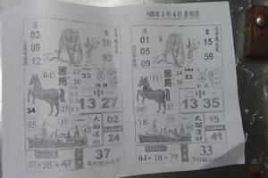 2/4 黑馬  六合參考