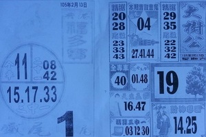 2/13 大樹公+福多寶  六合參考