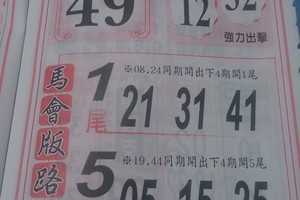 2/16 馬會版路   六合參考