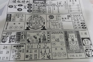 2/20 情報特刊  六合參考