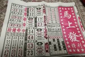 2/27 馬上發   六合參考