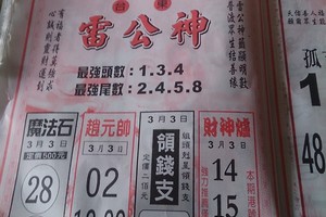 3/3 雷公神+善隱寺  六合參考